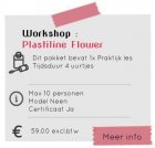 Workshop:Plastiline Flower Workshop:Plastiline Flower